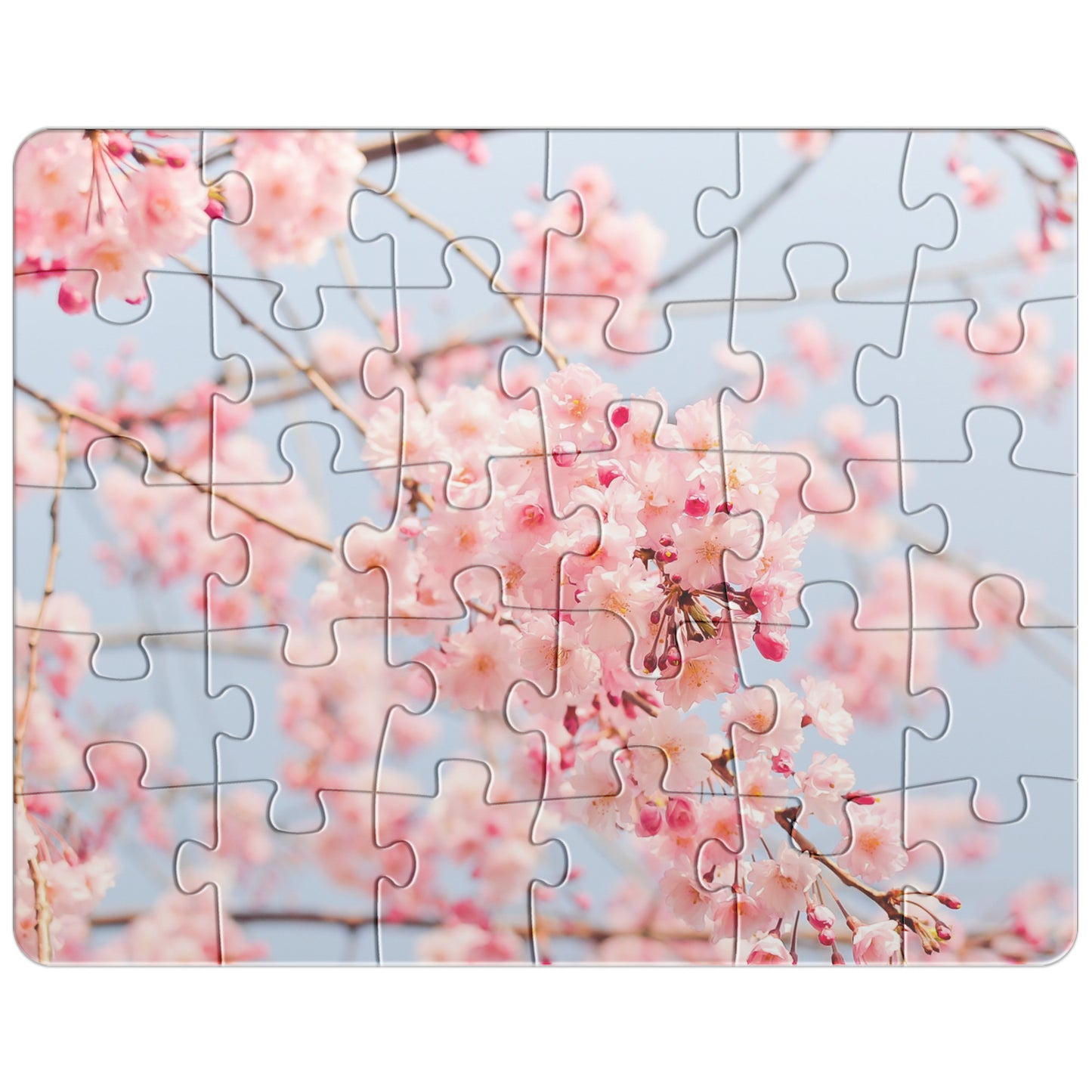 Cherry Blossom Puzzle