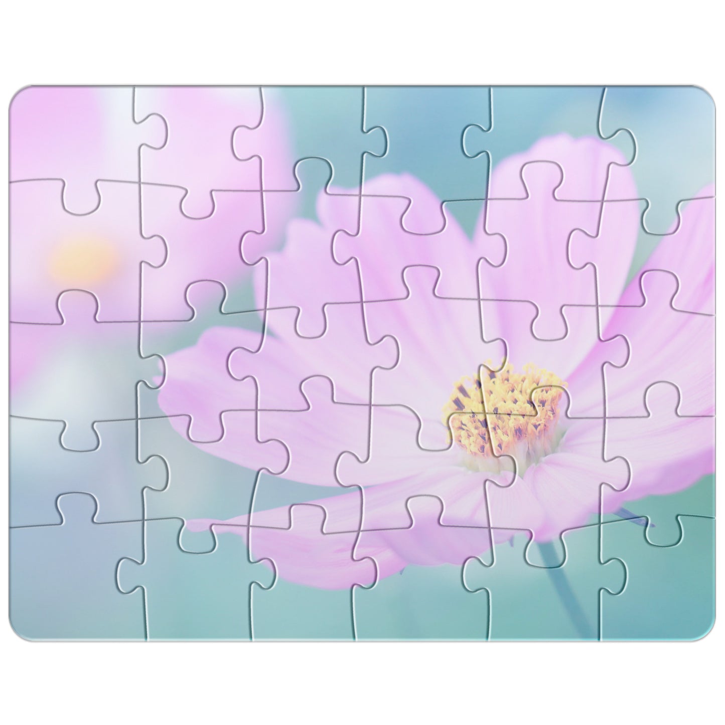 Flowered Reflection Puzzle