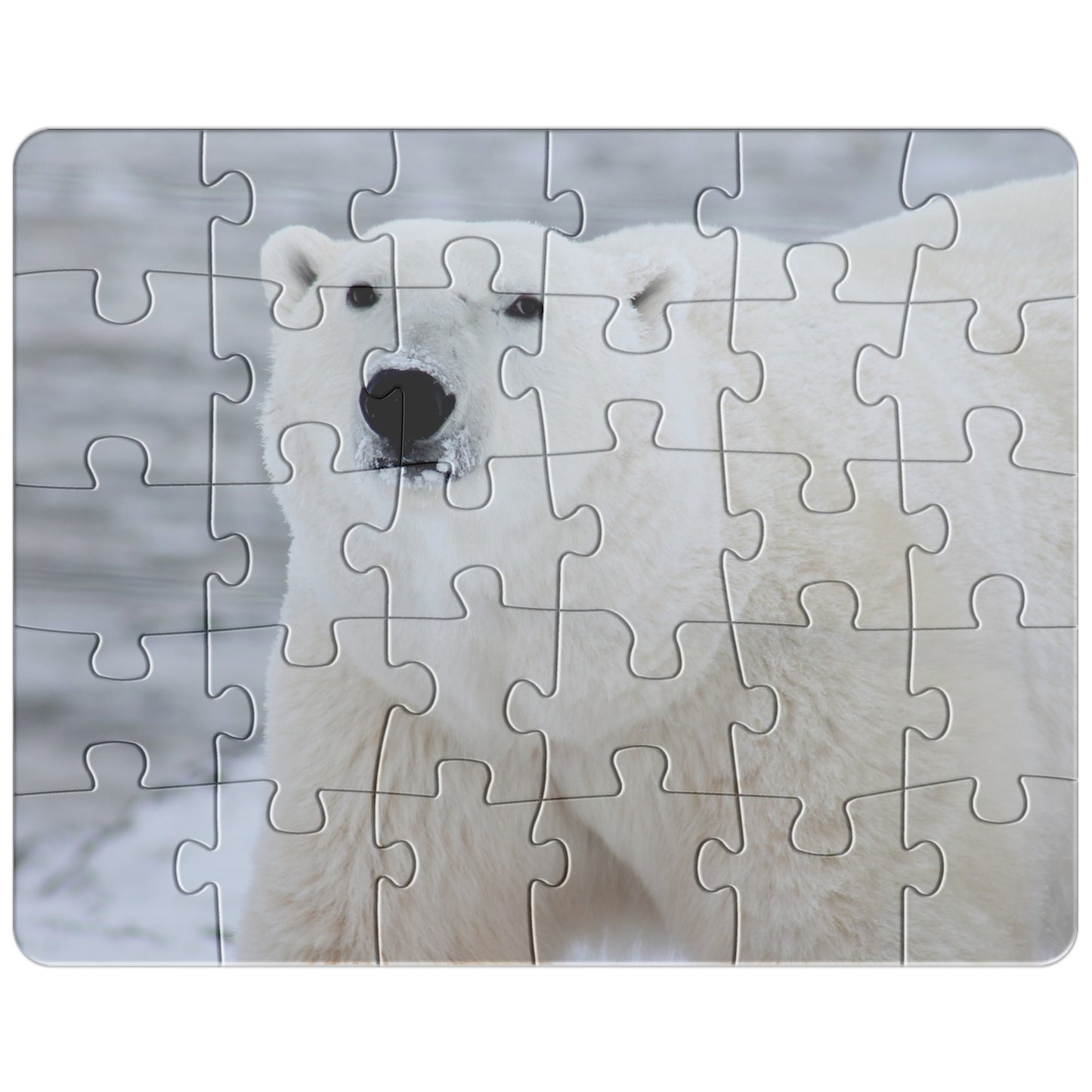 Polar Bear Puzzle