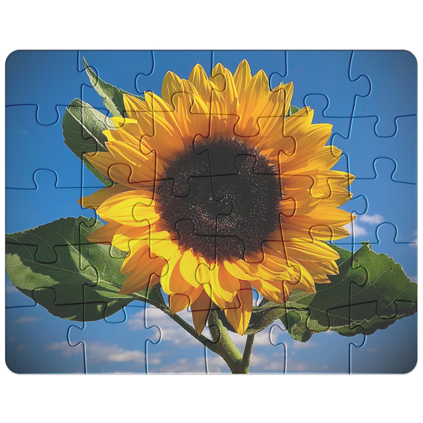 Single Sunflower Puzzle