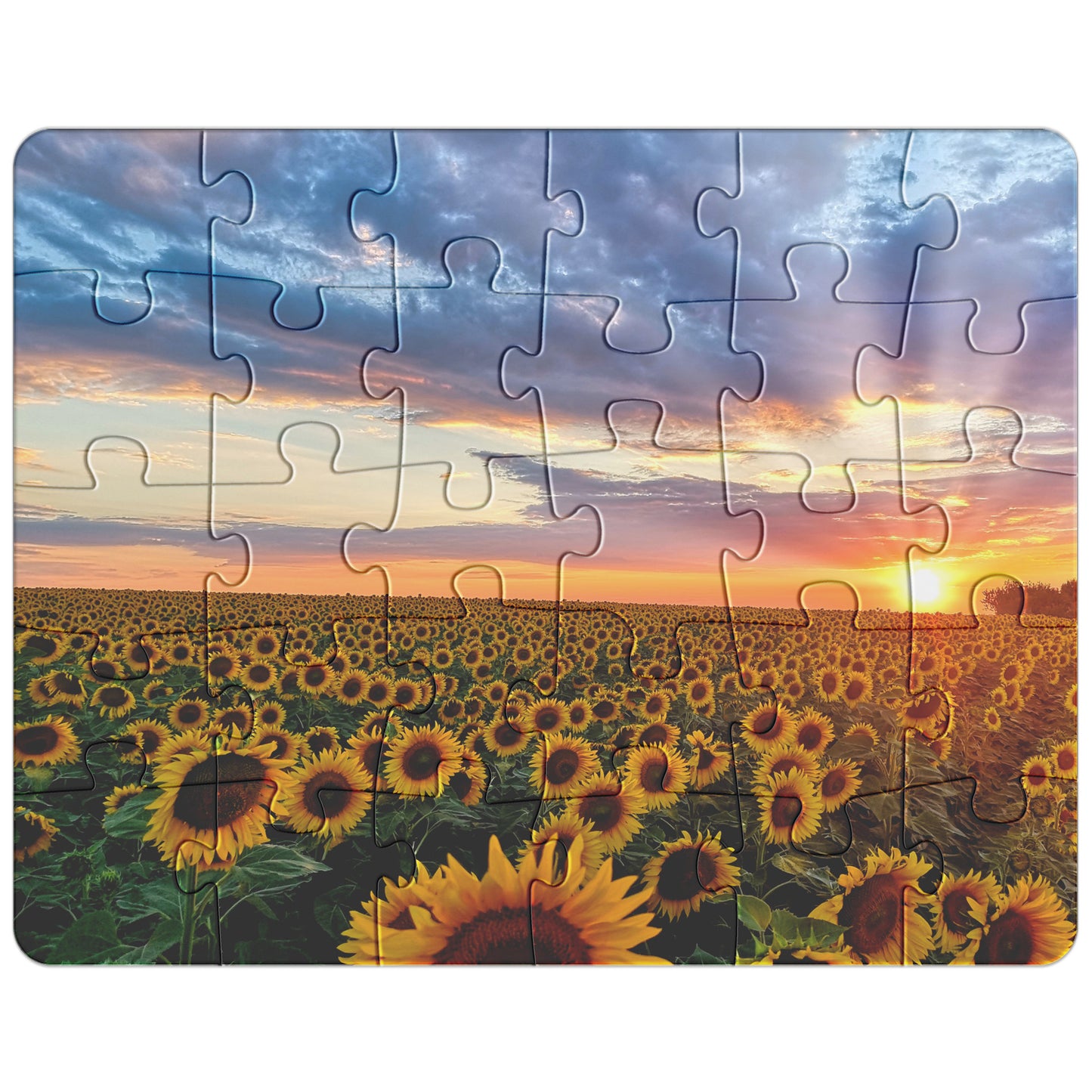 Sunflower Field Puzzle