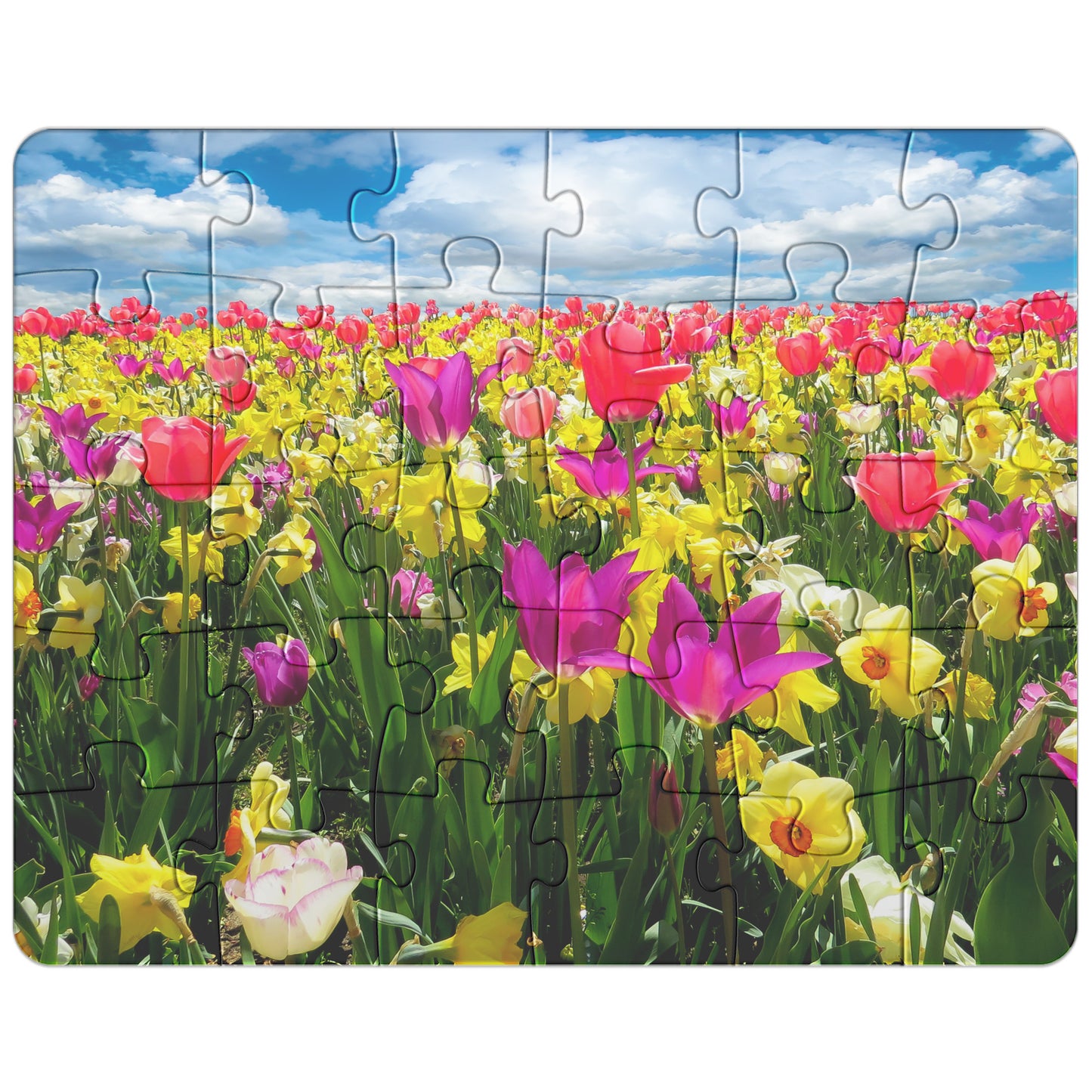 Vibrant Flower Puzzle