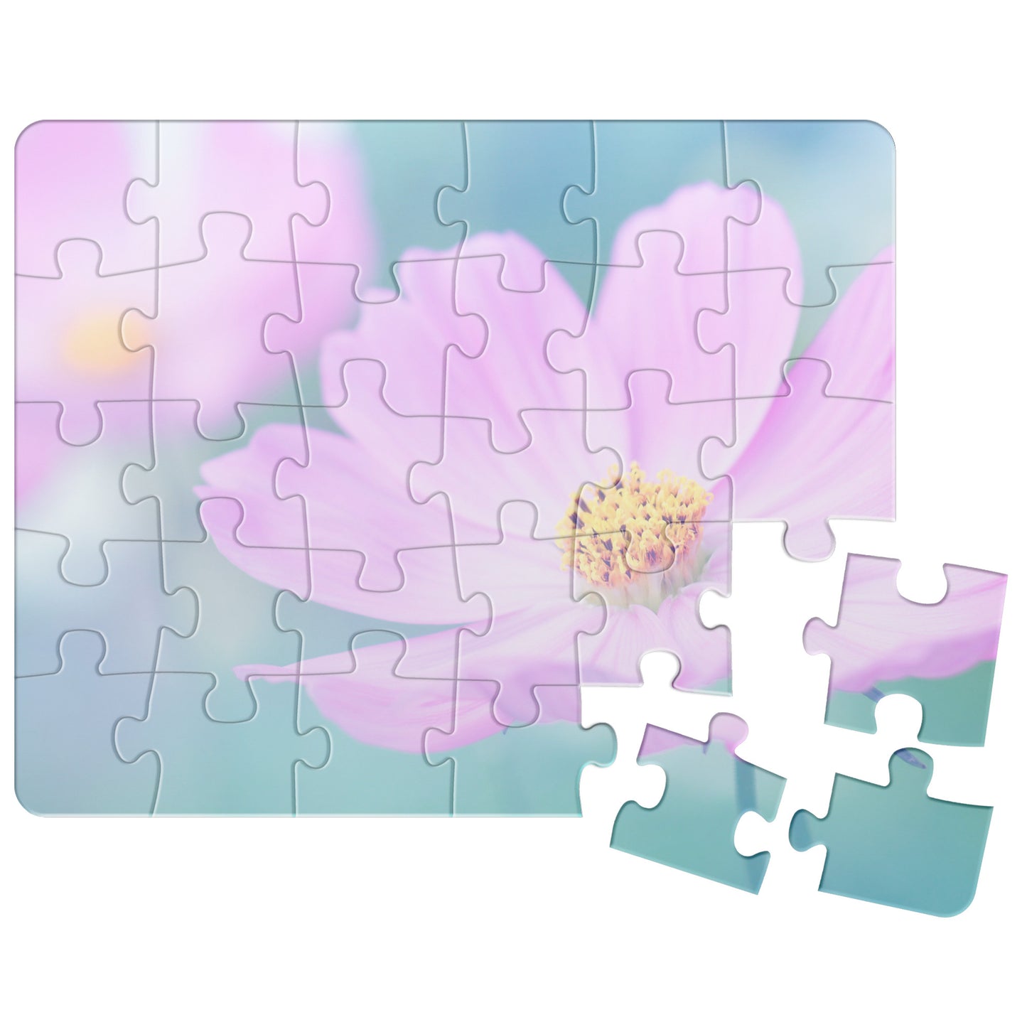 Flowered Reflection Puzzle