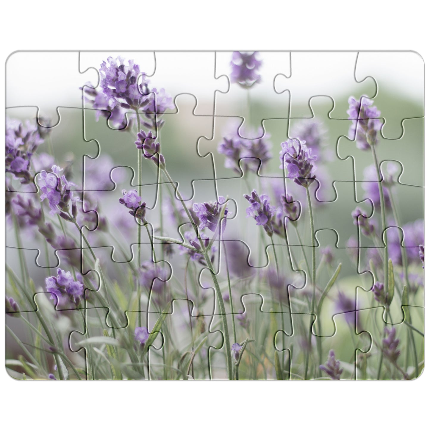 Lavender Landscape Puzzle