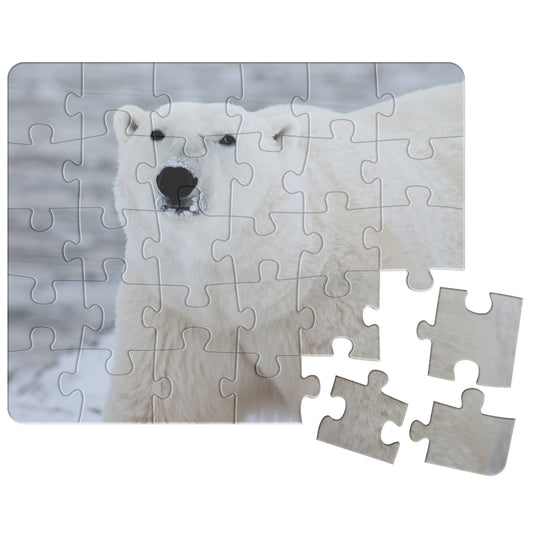 Polar Bear Puzzle
