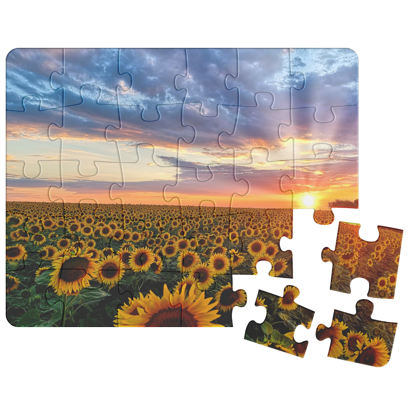 Sunflower Field Puzzle